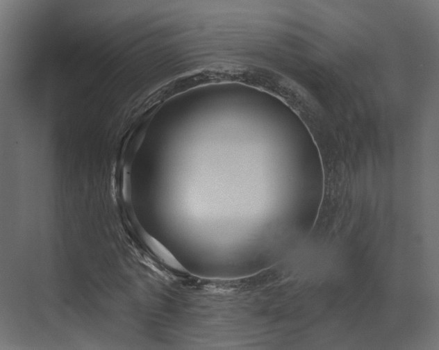X0000073500773200607311252