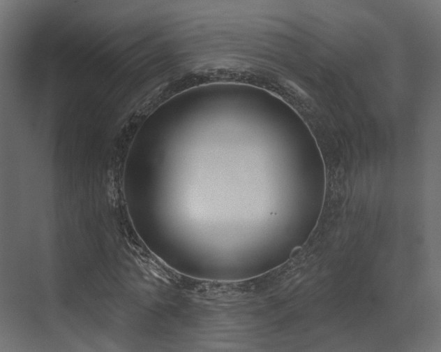 X0000073500774200607311251