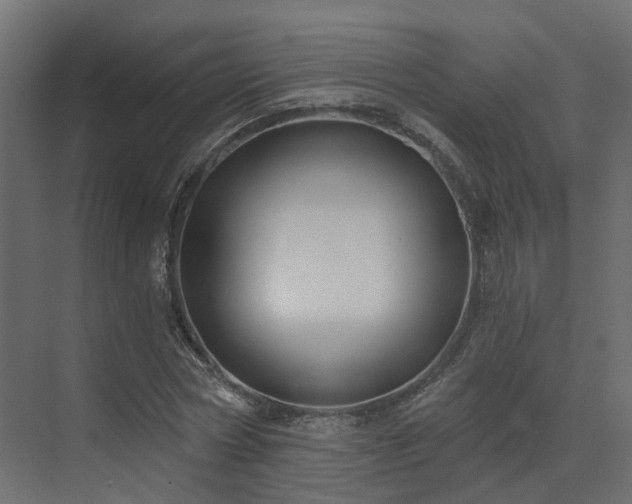 X0000073500778200607311251