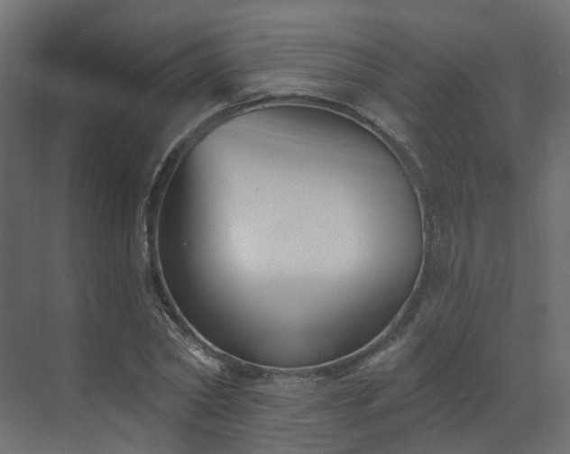 X0000073500782200607311251