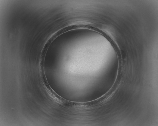 X0000073500783200607311251