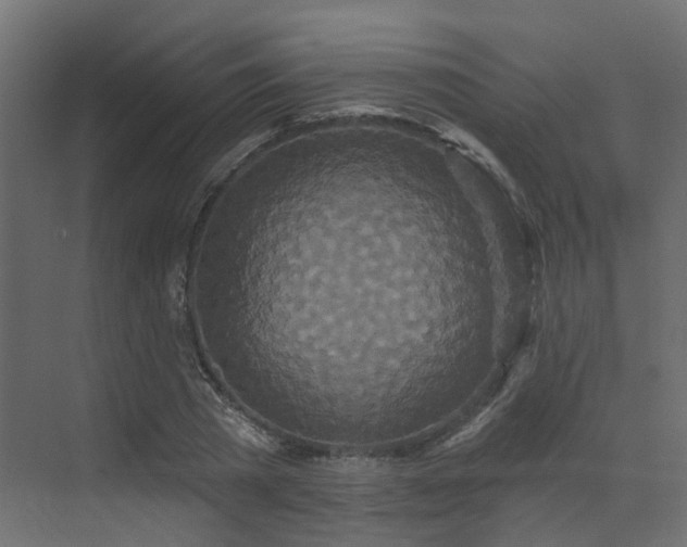 X0000073500785200607311251