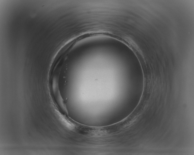 X0000073500789200607311251