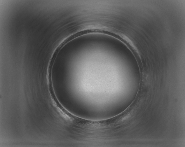 X0000073500791200607311251