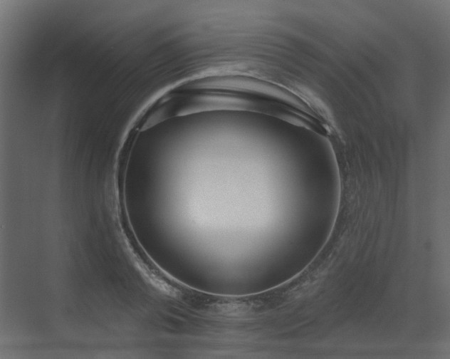 X0000073500792200607311251