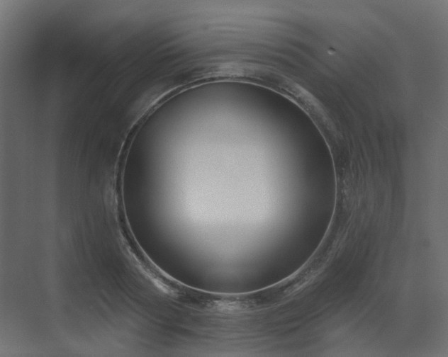 X0000073500794200607311251