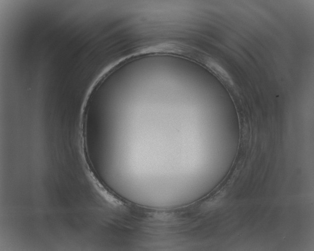 X0000073500800200607311251