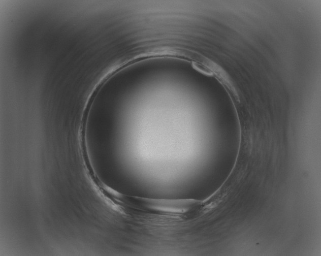 X0000073500805200607311251