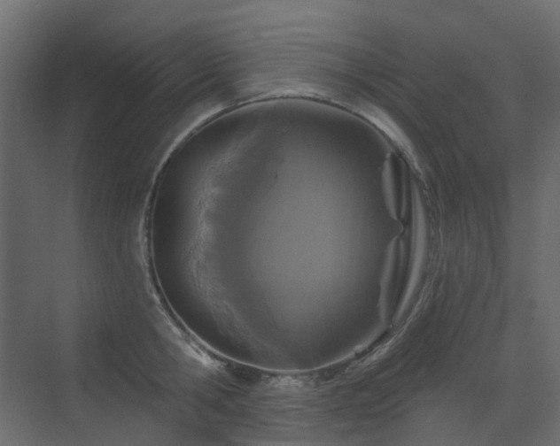 X0000073500806200607311251