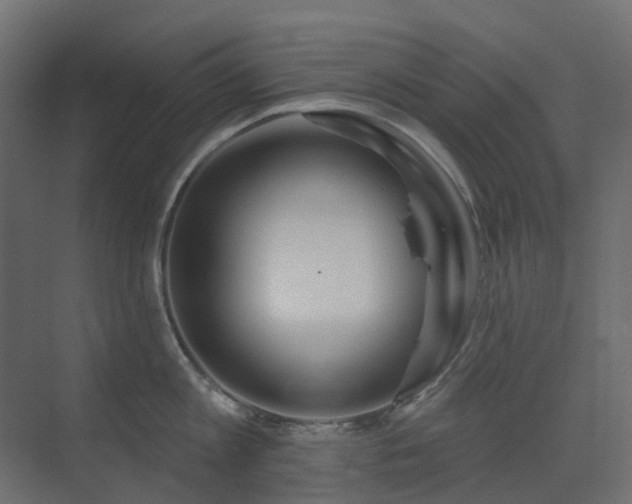 X0000073500813200607311251