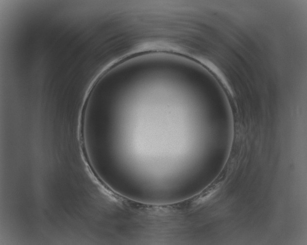 X0000073500815200607311251