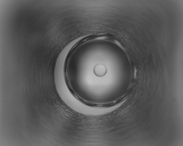 X0000073500818200607311250