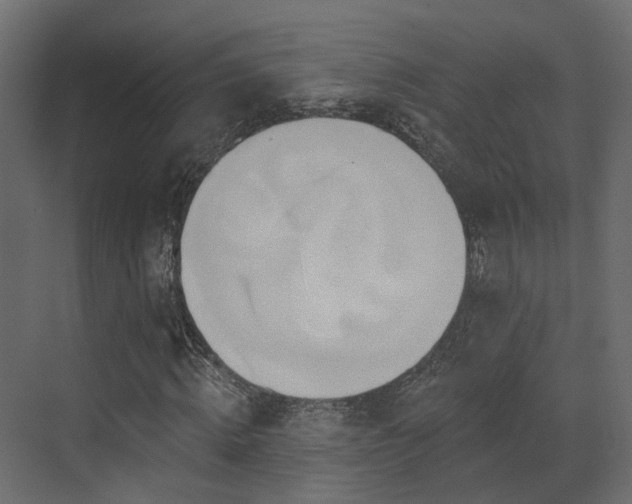 X0000073500820200607311250