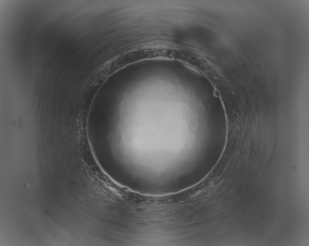 X0000073500821200607311250