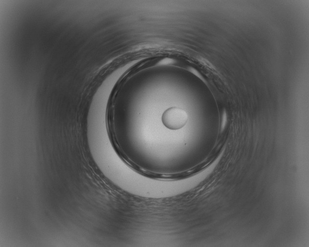 X0000073500822200607311250
