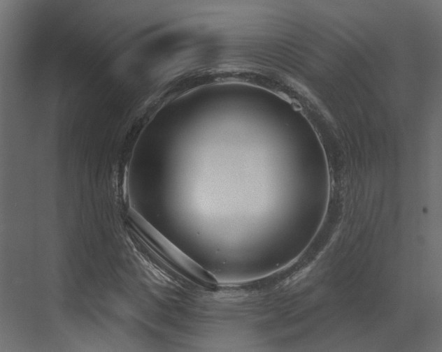 X0000073500825200607311250