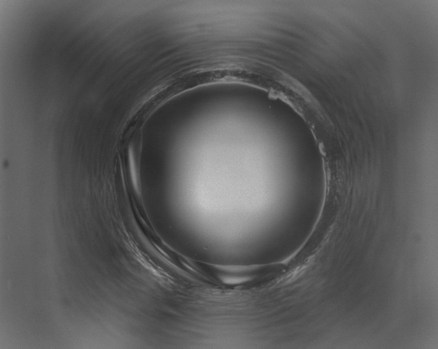 X0000073500826200607311250