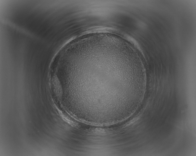 X0000073500827200607311250