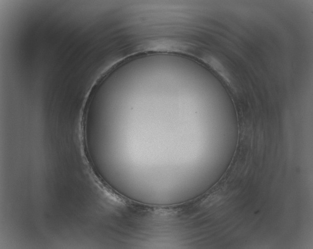 X0000073500848200607311250