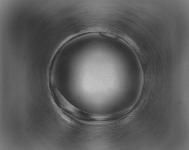 X0000073500854200607311251