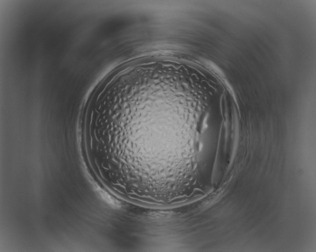 X0000073500859200607311251