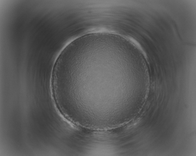 X0000073500863200607311251