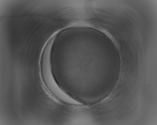X0000073500864200607311251