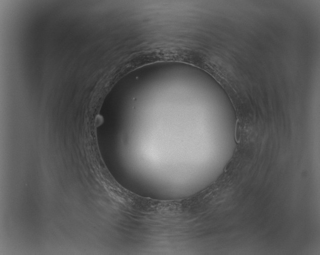 X0000073500865200607311250