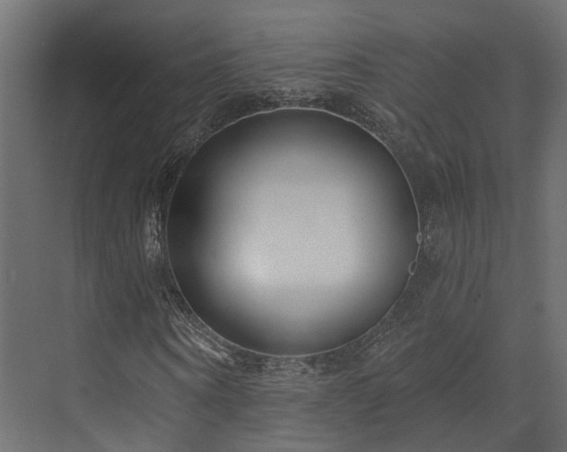 X0000073500866200607311250