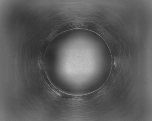 X0000073500867200607311250
