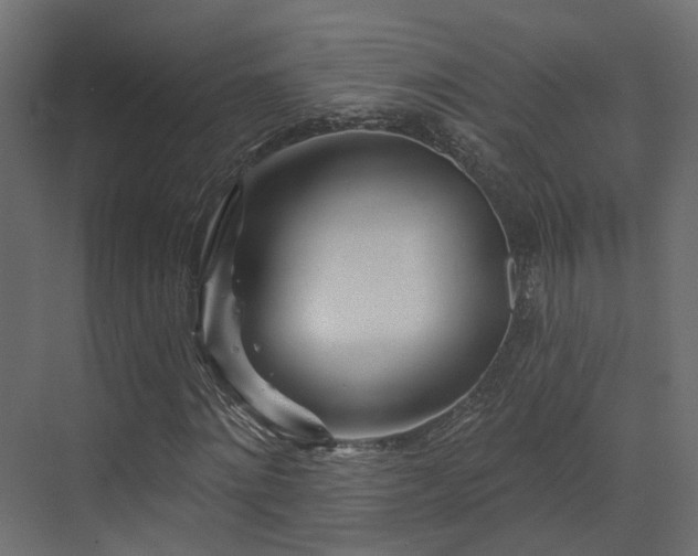X0000073500868200607311250