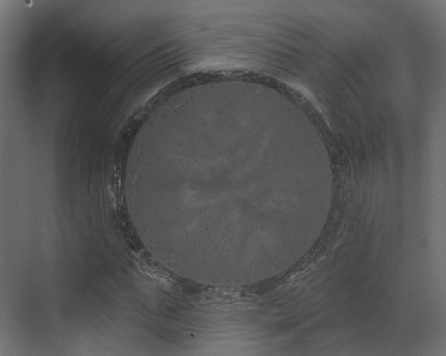 X0000073500871200607311250