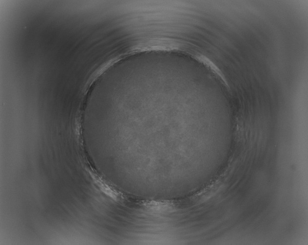 X0000073500874200607311250