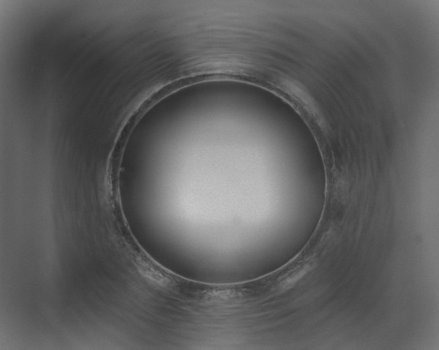 X0000073500883200607311250