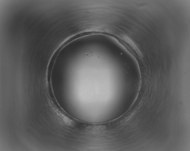X0000073500884200607311250