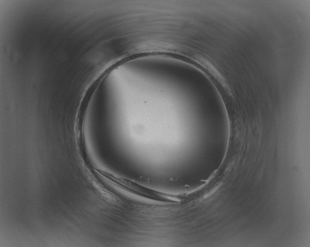 X0000073500885200607311250