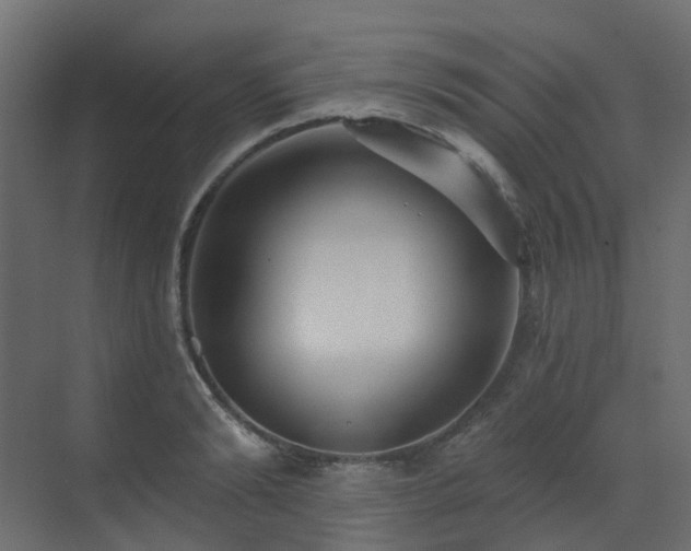 X0000073500894200607311249