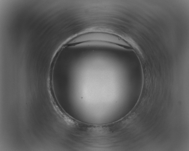 X0000073500896200607311249