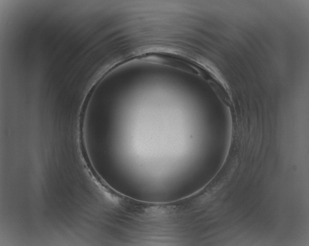 X0000073500898200607311249