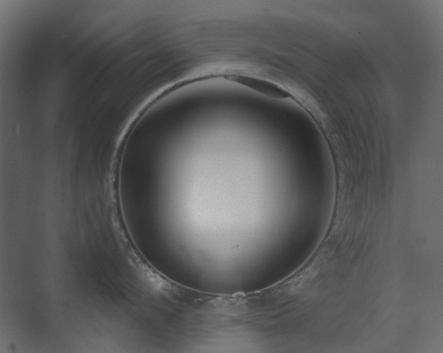 X0000073500912200607311249