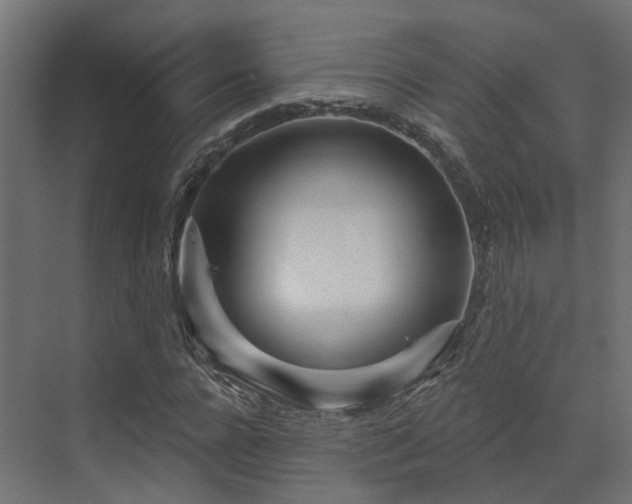 X0000073500920200607311248