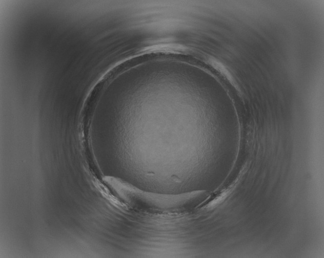X0000073500923200607311248