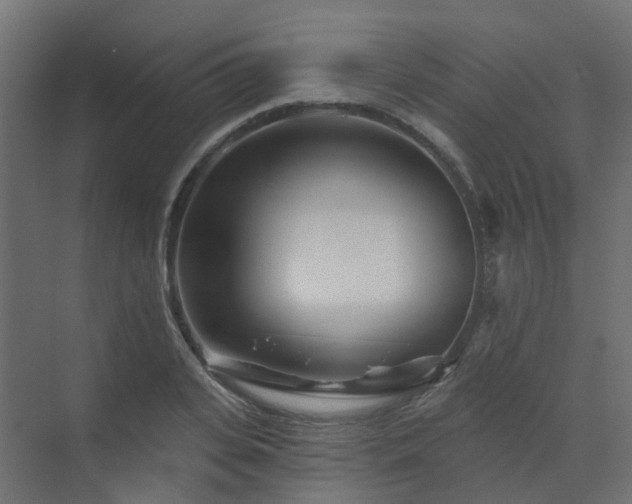 X0000073500935200607311249