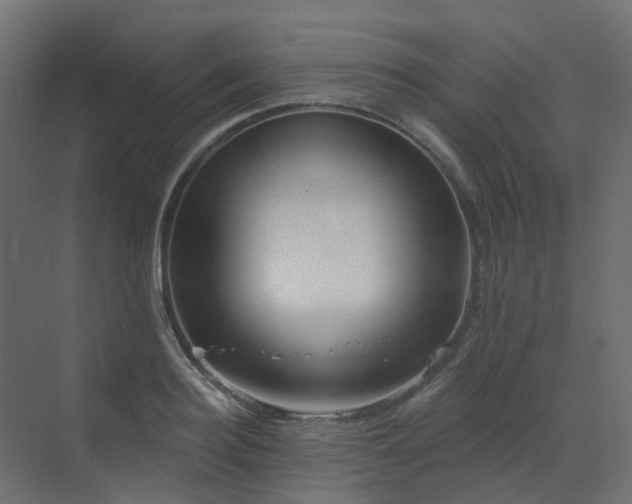 X0000073500940200607311249