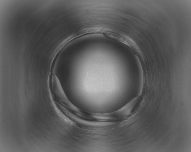 X0000073500946200607311249