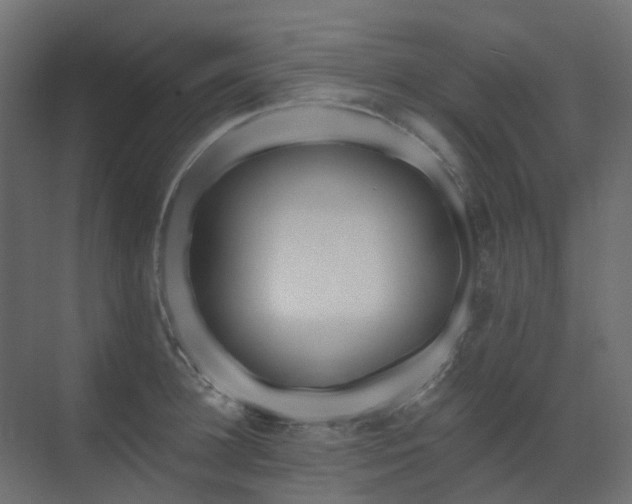 X0000073500948200607311249