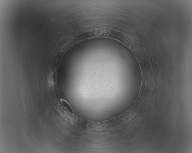 X0000073500962200607311248