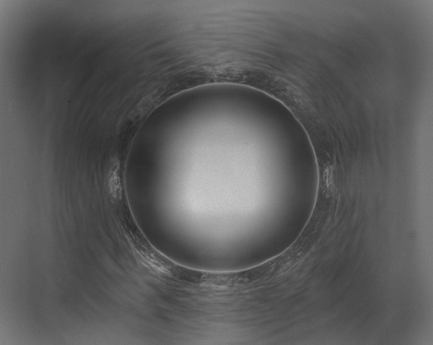 X0000073500963200607311248
