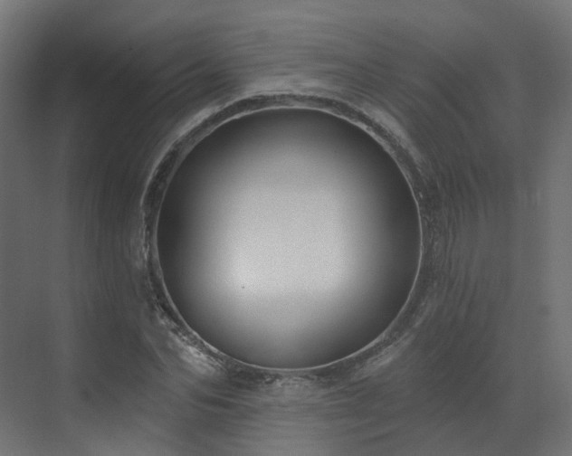 X0000073500974200607311248