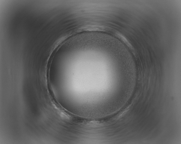 X0000073500986200607311248